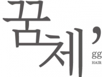 꿈체